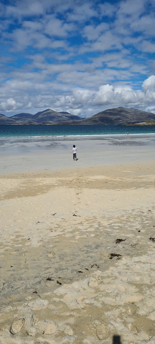 The perfect setting for a story. #kidslit #beaches #remoteisland #adventure