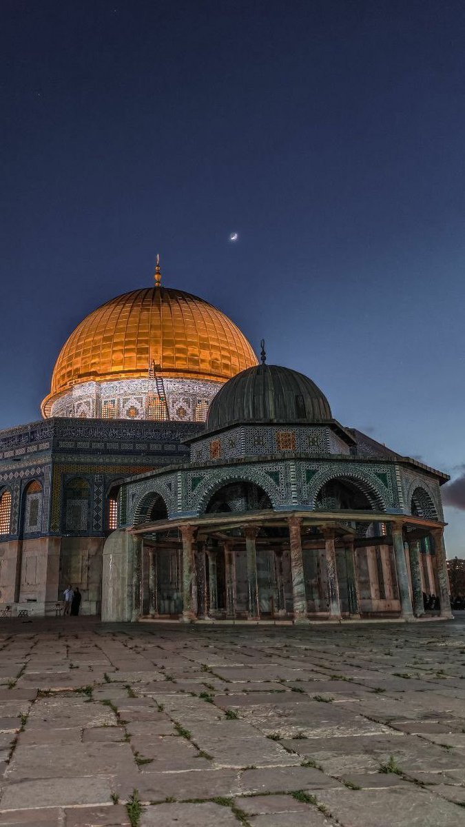 Özgür Olana Dek ...
#المسجد_الأقصي_بأعيننا