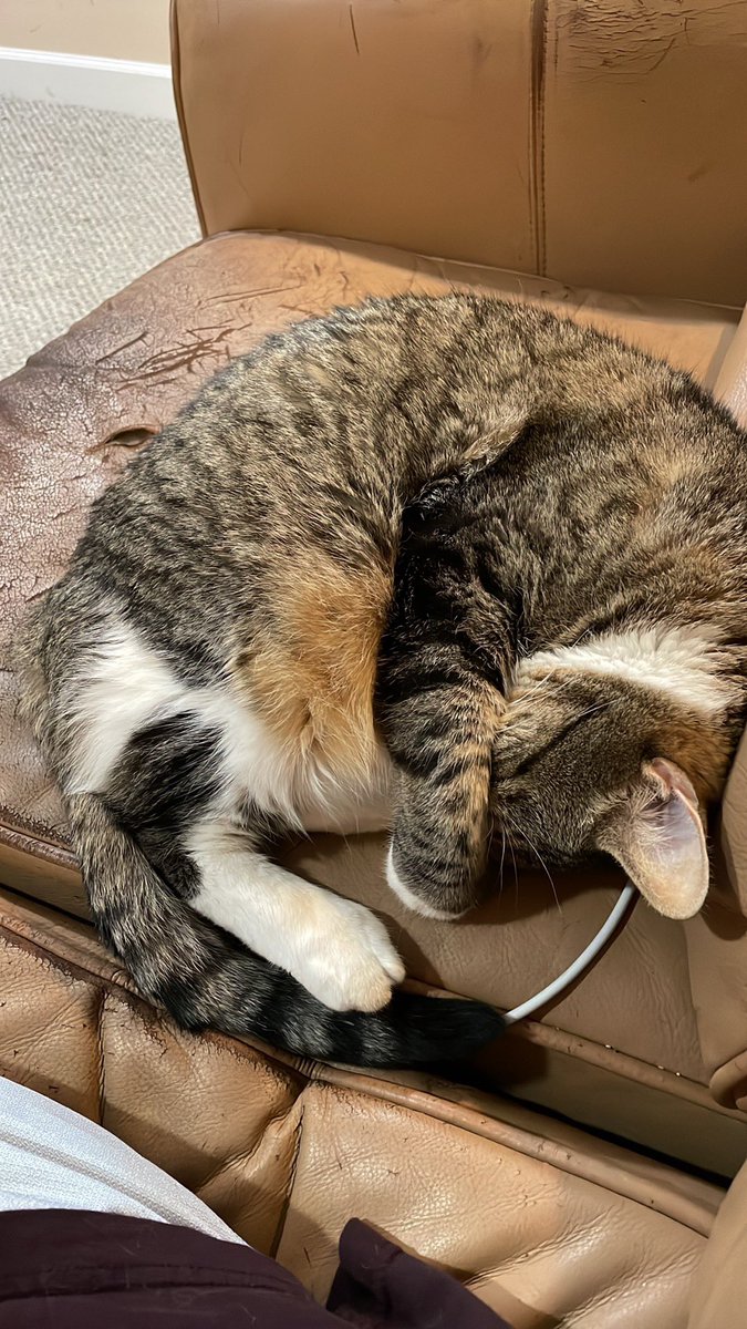 fuzzbone's tweet image. 