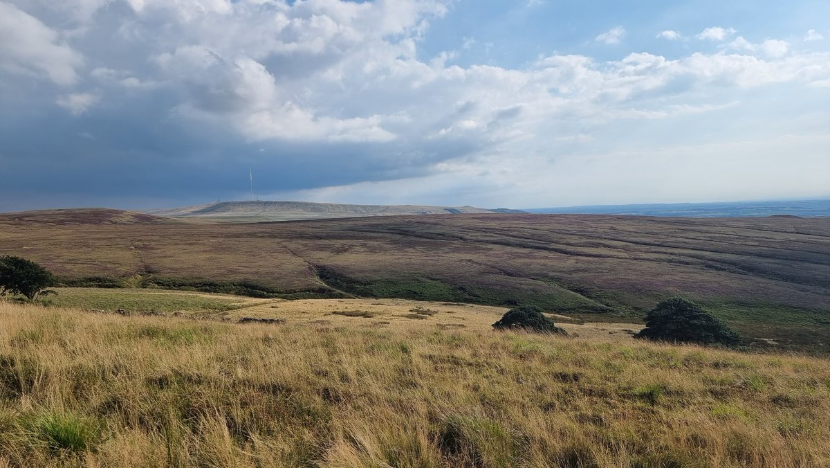 STTA_thepod's tweet photo. Out for a hike to Great Hill from White Coppice this afternoon. Lovely family friend hike with great views. #hiking #hikinguk #hikers #ukhikers #lancashire #getoutside #thegreatoutdoors #outdoors #walkforyourwellbeing #summittotalkabout https://t.co/EogGHWLmms
