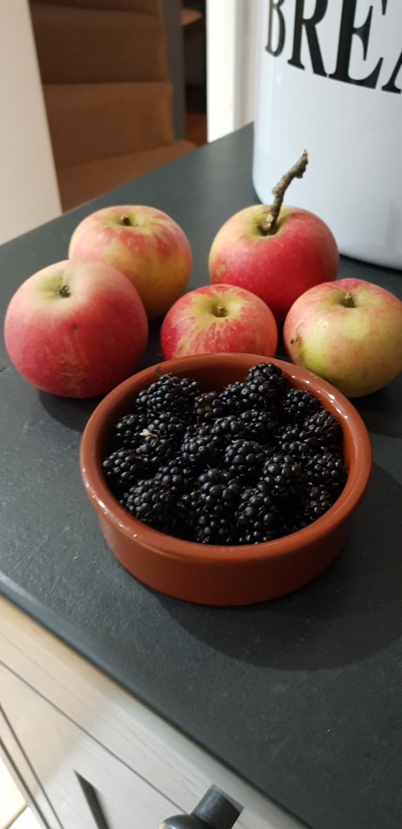 Blackberries from our hedgerow and apples scrumped from the neighbours (with permission) ! I feel a crumble might be in order 😂👍