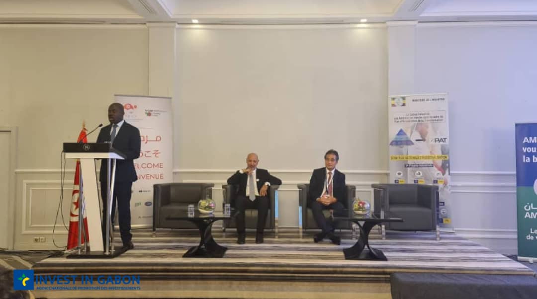 Invest In Gabon tweet media