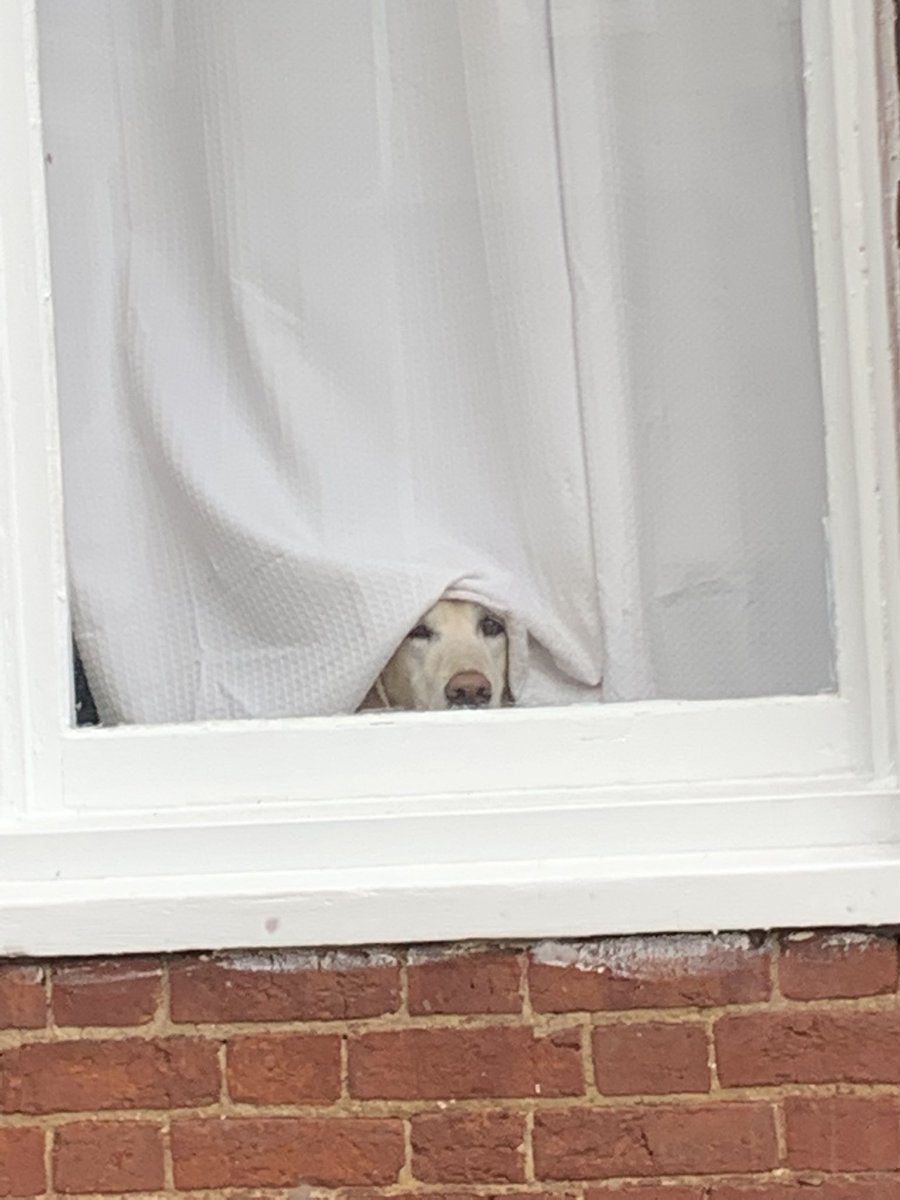 gehrig schuster (@gschuster5) on Twitter photo 