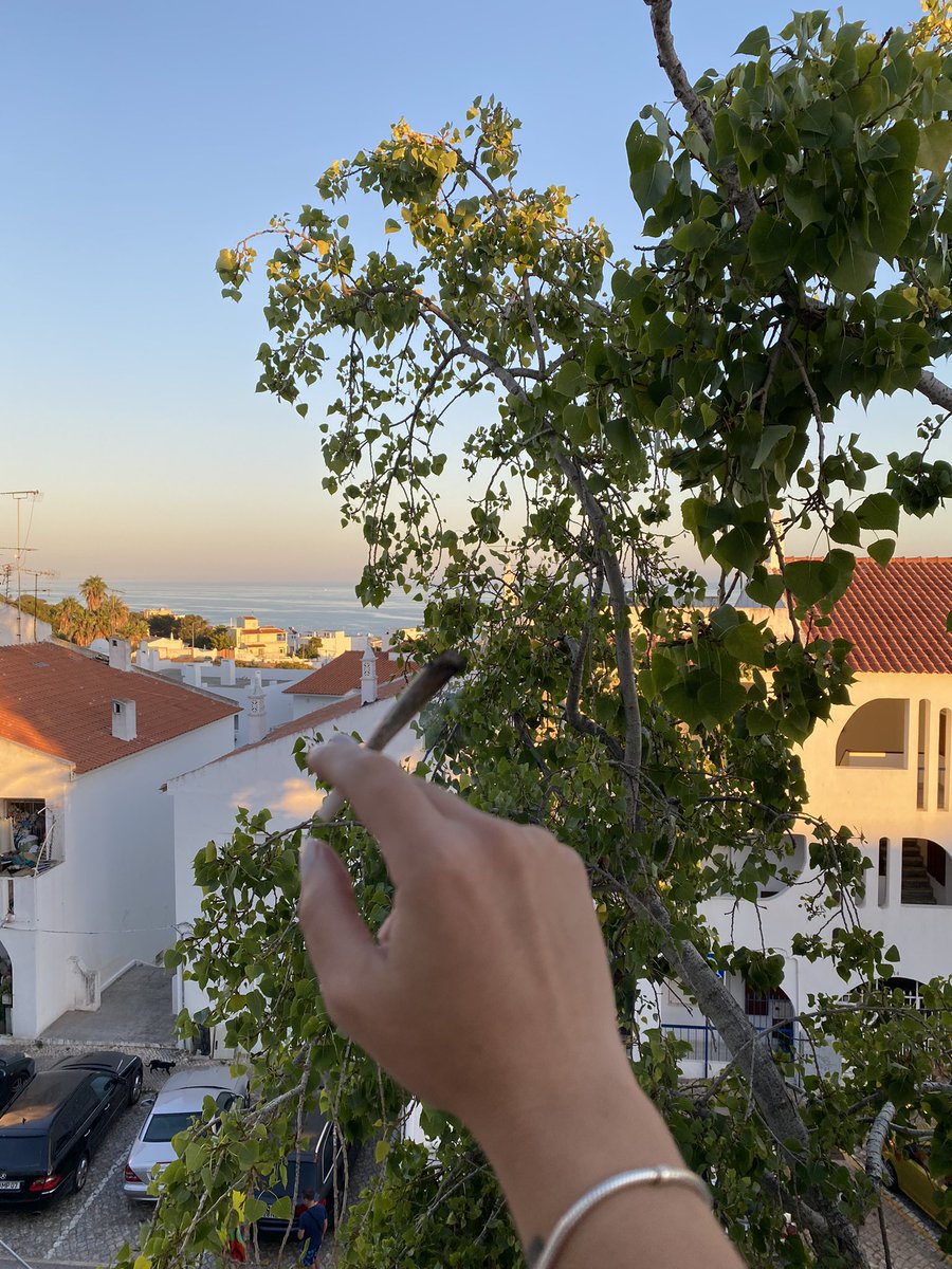 denizeel's tweet photo. Did I say how much I love summer before? https://t.co/ik8T0wZHNp