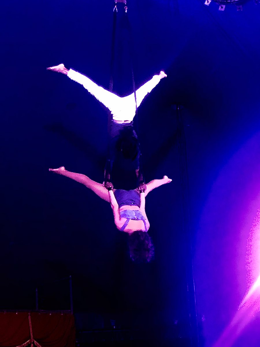 MirteDamen's tweet photo. Enorm genoten en mij absoluut non-stop verwonderd. Het was vol van schoonheid en adembenemend mooi.
Het was Briljant, fenomenaal, geweldig! Top acrobatiek.
Het is een klein maar fantastisch warm circus. #magiccircus #woerden https://t.co/P5FhpcFV2O