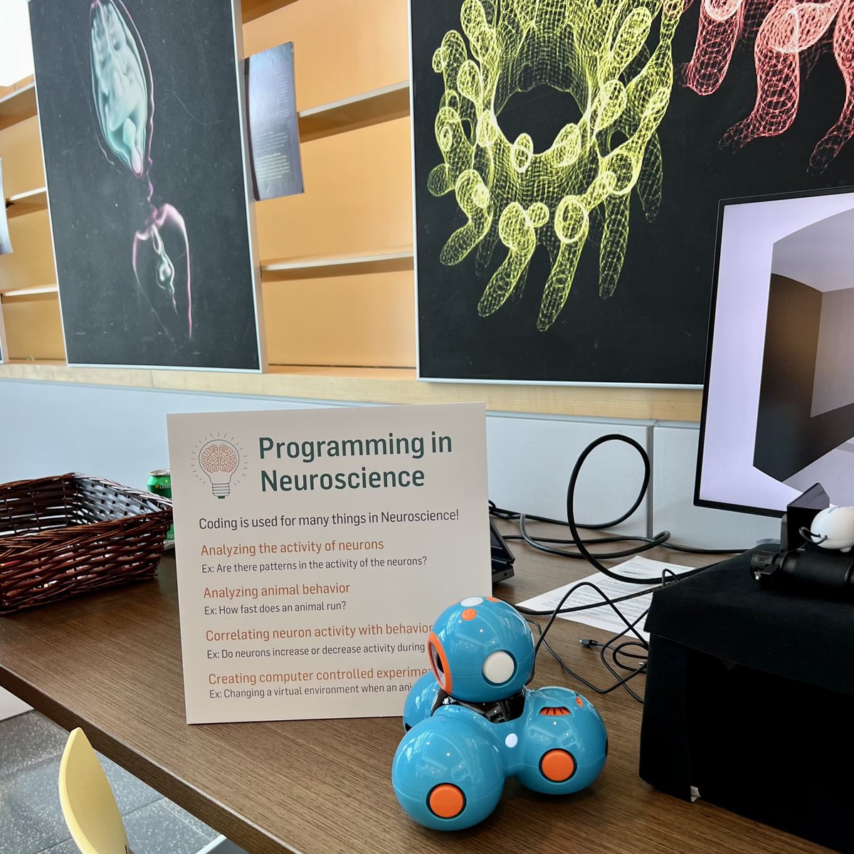 KateEMaier's tweet photo. I had a great time with our young guests @MPFNeuro #BrainExplorationDay today! They learned how to code a robot to bowl & about programming’s role in neuroscience.🤖🧠 https://t.co/lbCgpmeCvn