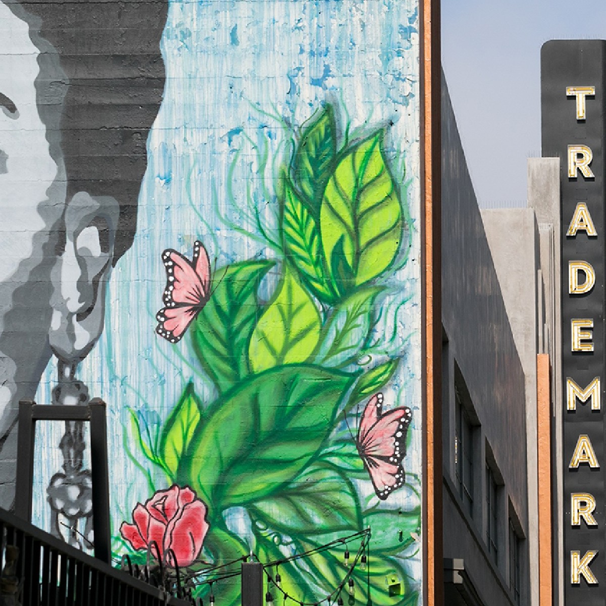 Trademark Brewing tweet media