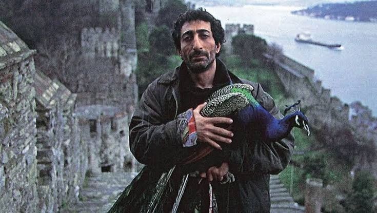 kaybdnlrk's tweet photo. '..yalnız seni alabildim.. seni diğerlerinden ayırdığım için özür dilerim ama izin vermiyorlar artık hiçbir şeye izin vermiyorlar.' https://t.co/D6nDq89fDE