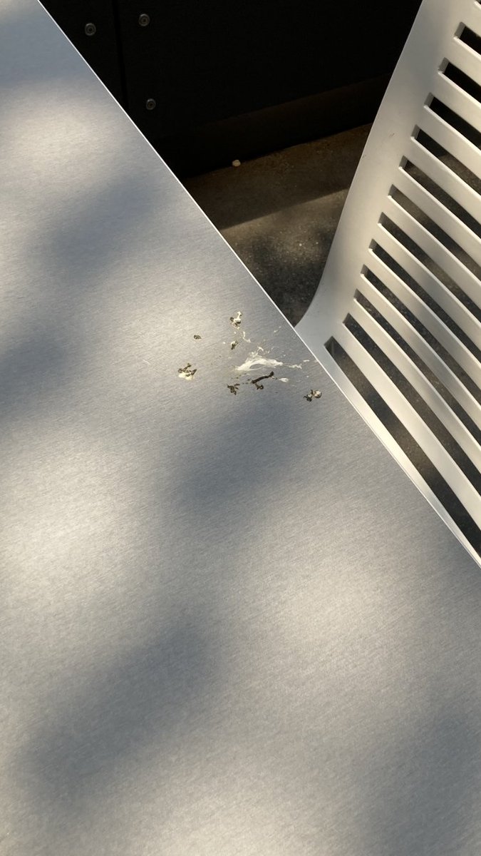WBQCC's tweet photo. These PH experts should come look at all the bird shit in the SCI Cafe Courtyard so they can educate @ChrisMangino1 how #birds &amp;their droppings carry over 60 diseases - How do you let your students and staff eat like this ? @OSHA_DOL @QCC_CUNY https://t.co/0204LQVNRe