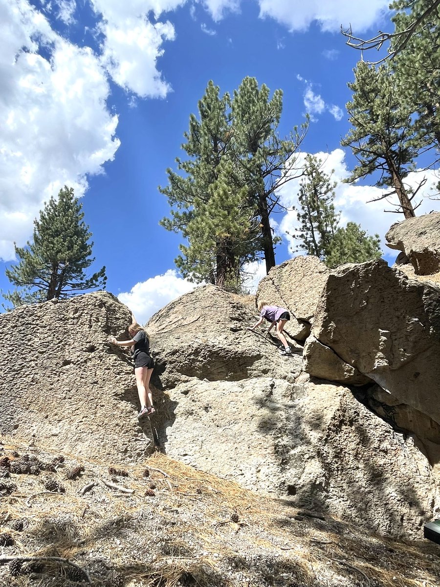 piperbloom's tweet photo. Go climb a rock!
#weekendvibes 
@visitmammoth https://t.co/z8bkqVaK1T