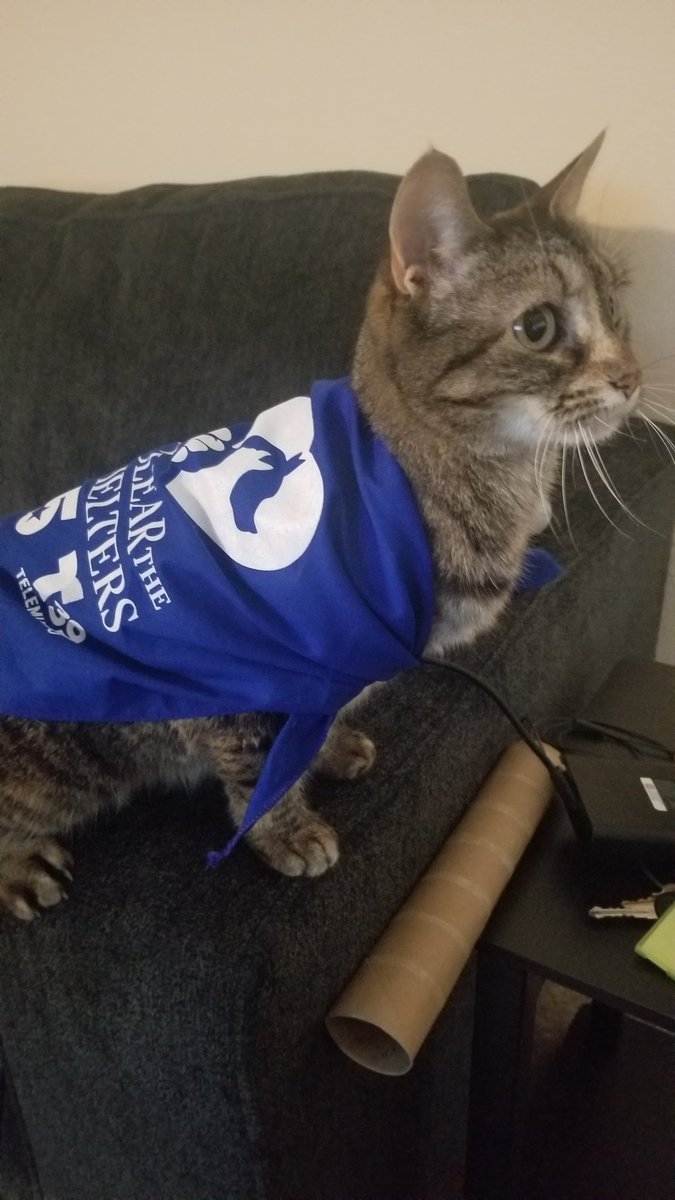 J.D. Williams tweet media