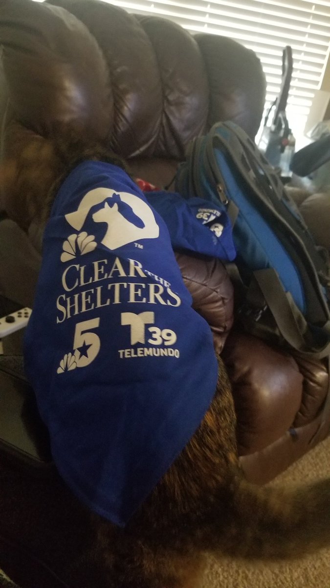 J.D. Williams tweet media