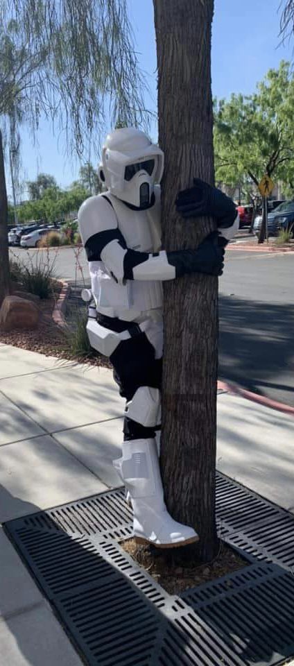 Our scouts give hugs to all…trees included. Right 
TB 70204?

#501stlegion #lasvegas