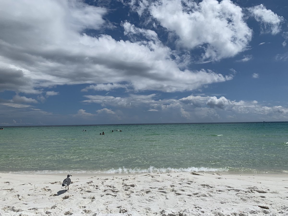 88BD2012's tweet photo. My current location #Florida https://t.co/a7Egk3mJix