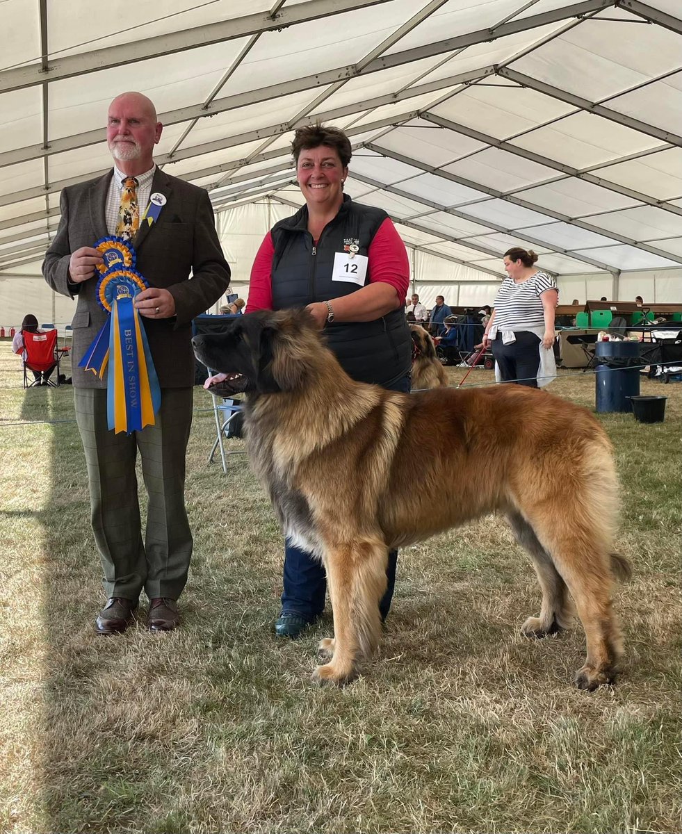 OscarRomeo1268's tweet photo. Huge congratulations to @burrellce and my mate #Havoc who won “Best In Show” at the #Leonberger Association Open Show today. Super proud of you, #TeamBurrell will need bigger doors to get him and #Carnage through soon #TherapyDogs #TopDogs 🐶 https://t.co/iIlz9PaP9Z
