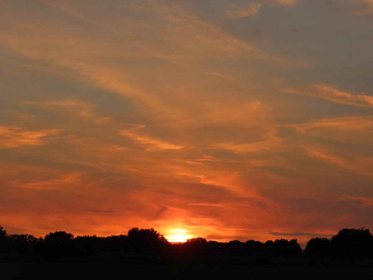 Kevin Bradshaw tweet media