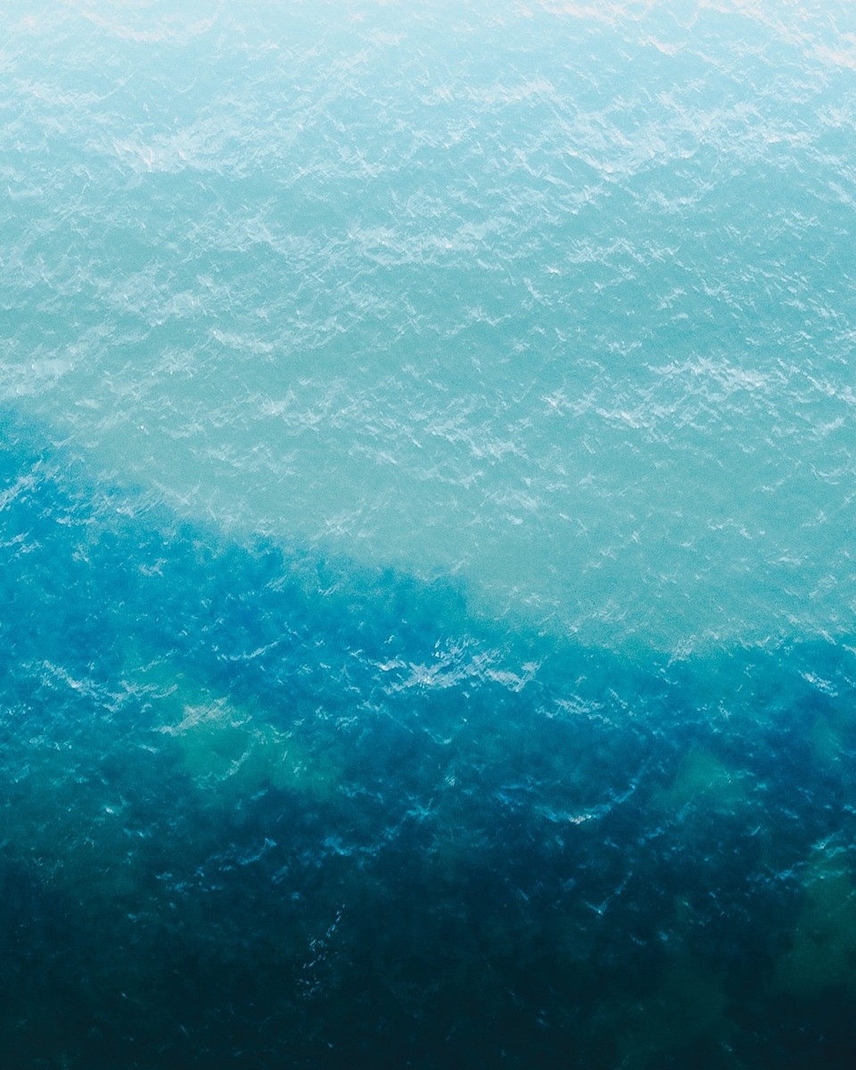 LBHonPCH's tweet photo. Diving in⁠
⁠
⁠
⁠
⁠
⁠
⁠
#deepwaters #bigbluesea #lifeinlaguna #getinthewater #pacific #visitlaguna #californialivin' https://t.co/1DMpaztFpr
