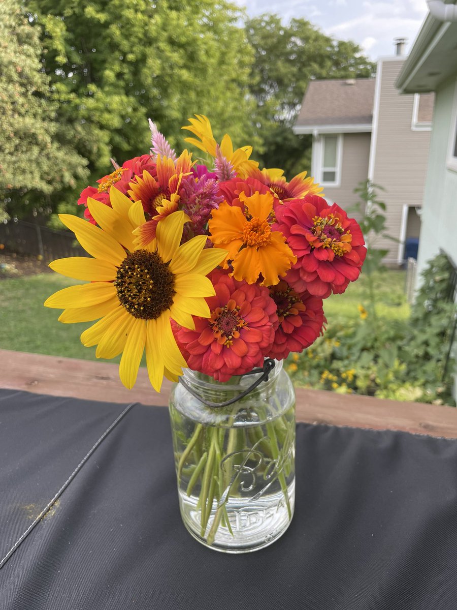 Jennaywayy's tweet photo. BYOV {bring your own vase} #GardeningTwitter https://t.co/8gExha2vRn