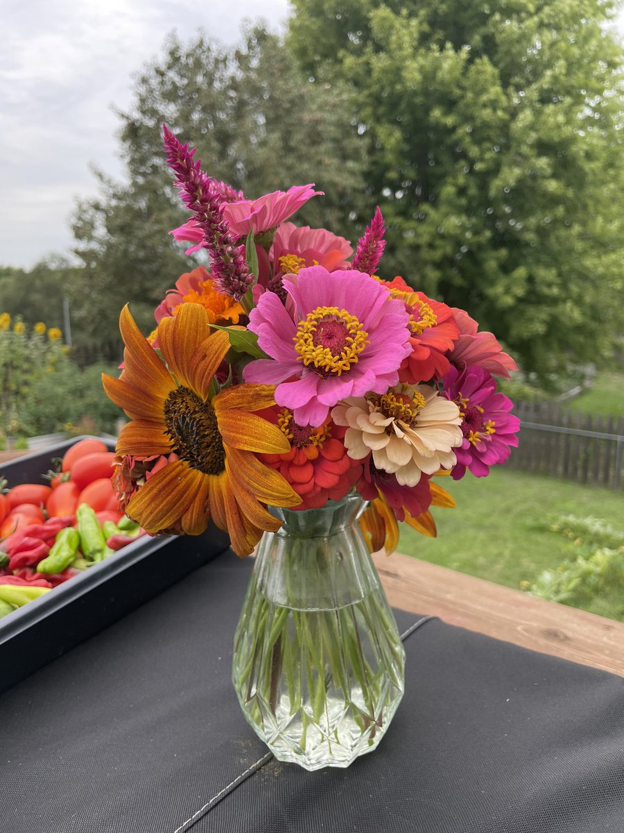 Jennaywayy's tweet photo. BYOV {bring your own vase} #GardeningTwitter https://t.co/8gExha2vRn