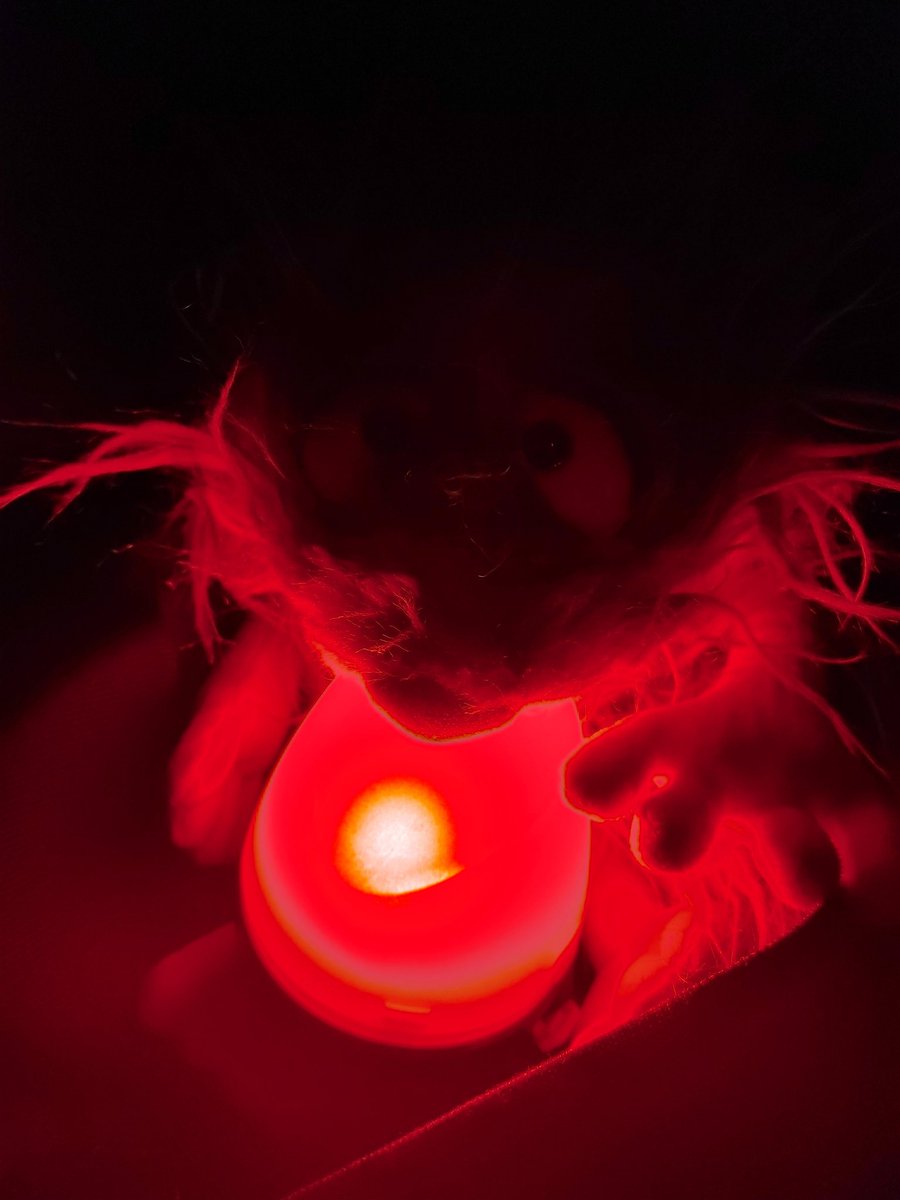 Die Menschenwesen sind zu anderen Menschenwesen gefahren und haben wieder das lustige Zelt aufgebaut. Jetzt sitzen sie draußen und quatschen. Und ich hab diese tolle Lampe gefunden. Illumination! 🤩