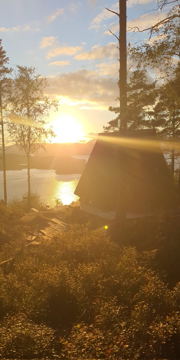 WHOOPetyy's tweet photo. Love watching the sunset from here 🌅🌄 https://t.co/UAqMj1EXiE