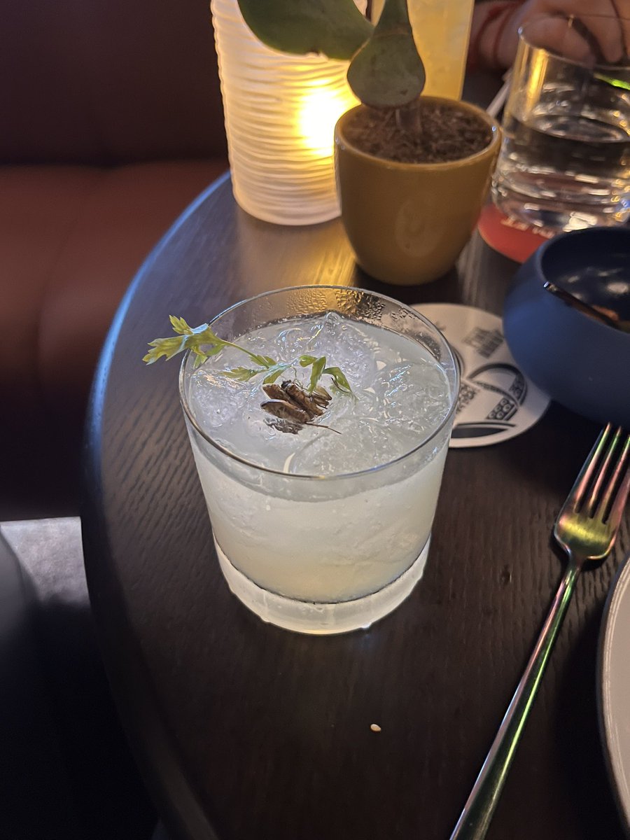 julmops's tweet photo. Mezcal and cricket cocktail anyone ? It was lush by the way … @VirginVoyages #valiantlady #pinkagave https://t.co/1BjN2eobfd