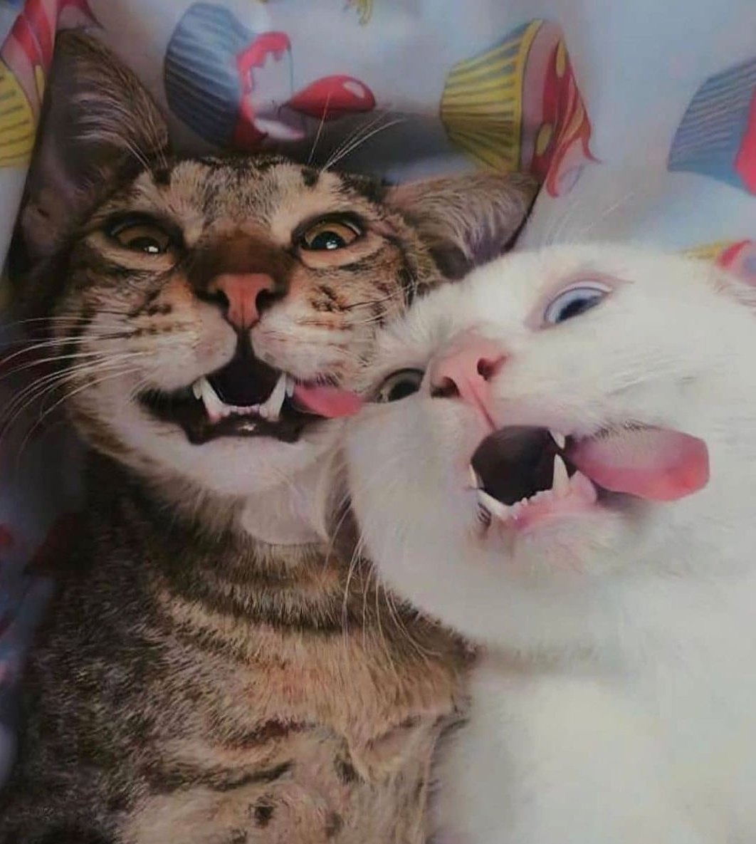 Məsələn seninle belə ola bilərdik... sjsjsj