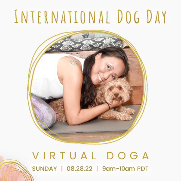Happy International Dog Day!

Let's celebrate with virtual Doga on zoom 💖🐶:
Sunday
08/28/22 
9am-10am pdt

RSVP b4 start time via the link below:

stephkang.as.me/virtualdoga

Please also sign up for our email list:
- mailchi.mp/236c7e0d0f9d/e…

#doga #internationaldogday