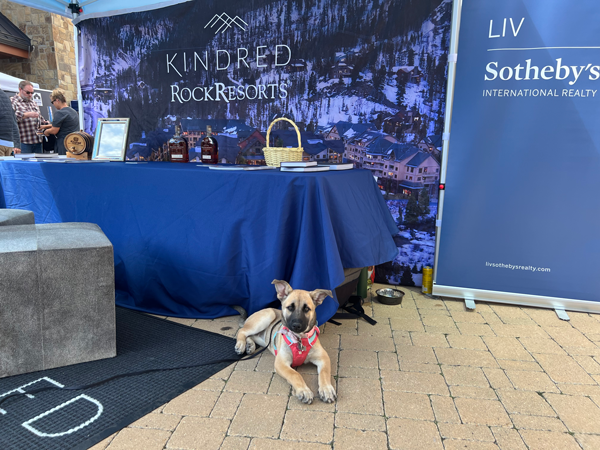 KindredResort's tweet photo. Meet our newest team member @breckenridgehogfest https://t.co/6VTY8AJC3B