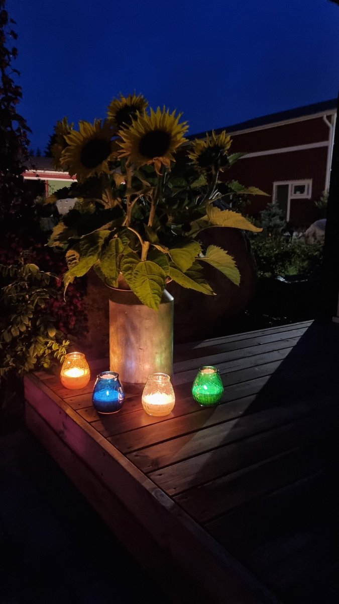 Hyvää venetsialaisiltaa! #venetsialaiset #venicenight #SlavaUkraini #auringonkukka #sunflower