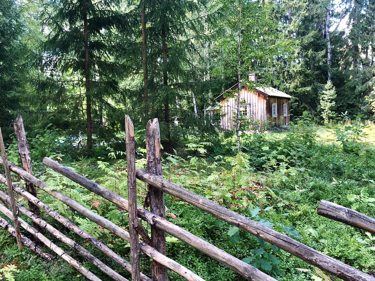 Clint_Canada's tweet photo. This year spent #SuomenLuonnonPäivä along side #Tuusulanjärvi walking the #Rantatie #Tuusula Lakeshore, cabins, 🌻gardens, museums - everything for a wonderful #FinnishNatureDay 🇫🇮 @tuusulankunta 🌲@OurFinland 🌳just a short, cheap @Hsl_hrt train 🚊 from Helsinki #FinnishNature https://t.co/TMVH3tUZdg