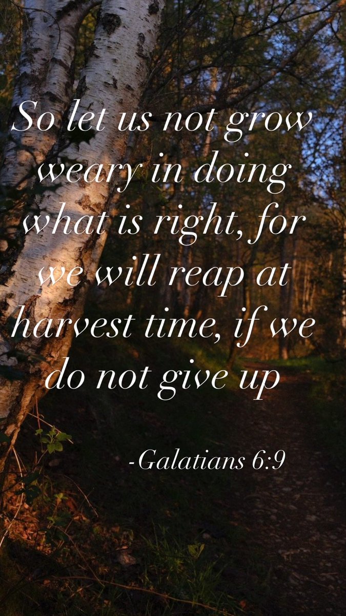 dRealRiverRocks's tweet image. In basketball terms TRUST THE PROCESS. For God has created the process and faith is our trust. Patience, your time is coming. #faith #GodsTiming