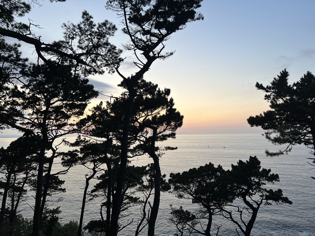 martinbeitias's tweet photo. Uno de los mejores atardeceres de Donosti está en Urgull. Último finde de agosto. https://t.co/RrnDL6UUN5