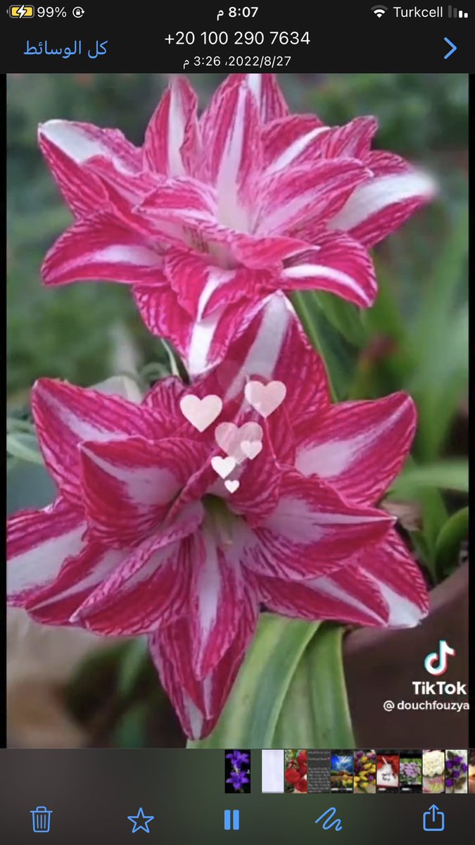 @t_o_t_a_11 <a href="/fairo_oza/">فہيٰرٍوزْهـهـ</a> <a href="/Ebriz__/">Ebriz</a> <a href="/lolaloly0/">لولا❤🍒</a> @BnHedara1 @farzaladine بارك الله فيك يا احلي توتا

@t_o_t_a_11

حساب يستحق المتابعه تابعوه والباك فوري