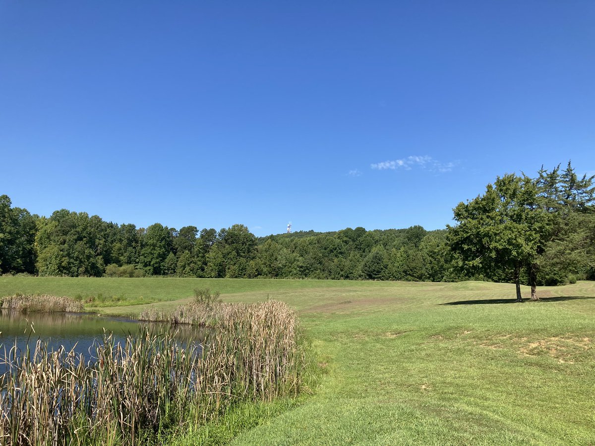 kevinsmith_tcnc's tweet photo. 🗣 Don’t tell anyone!
But there’s a beautiful hiking trail system with a quarry at the top and ponds and river at the bottom in Orange County, NC. #Occoneechee
@NCparks #EnoRiverStatePark https://t.co/nTAnD8hV9m