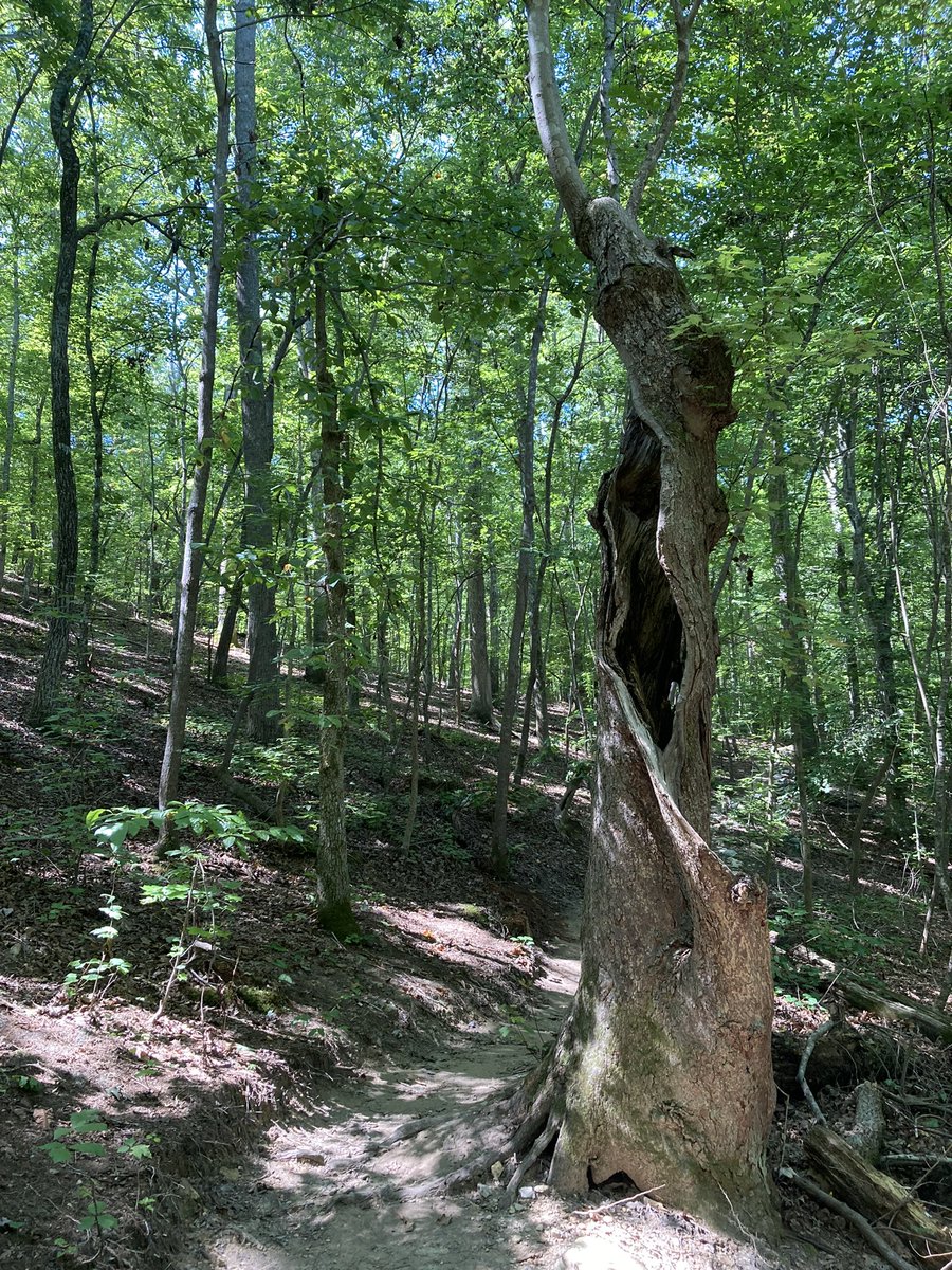 kevinsmith_tcnc's tweet photo. 🗣 Don’t tell anyone!
But there’s a beautiful hiking trail system with a quarry at the top and ponds and river at the bottom in Orange County, NC. #Occoneechee
@NCparks #EnoRiverStatePark https://t.co/nTAnD8hV9m