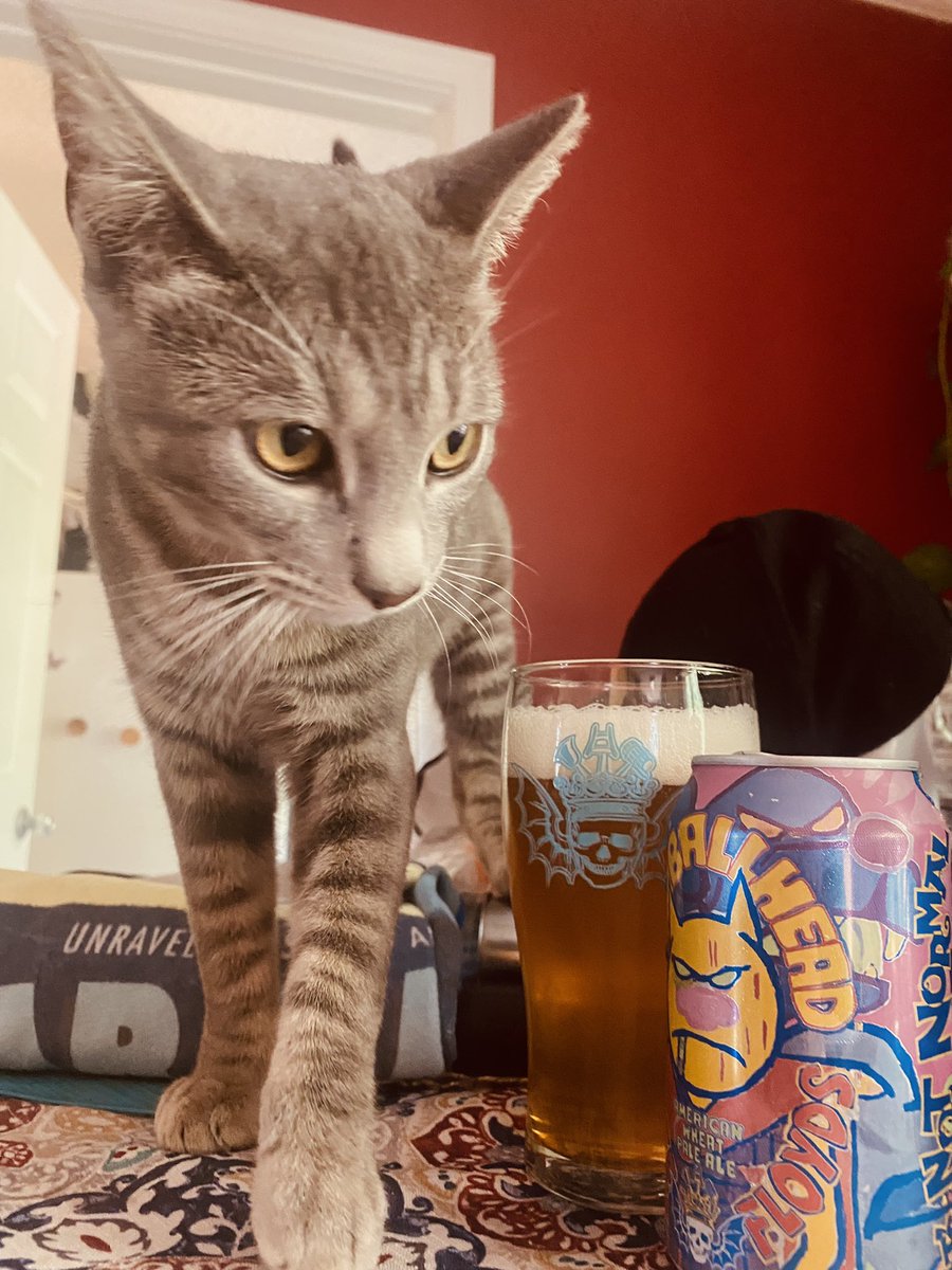 loydicus's tweet photo. @3floyds #Itsnotnormal #Itstotallynormal https://t.co/6yVUdxtO4V
