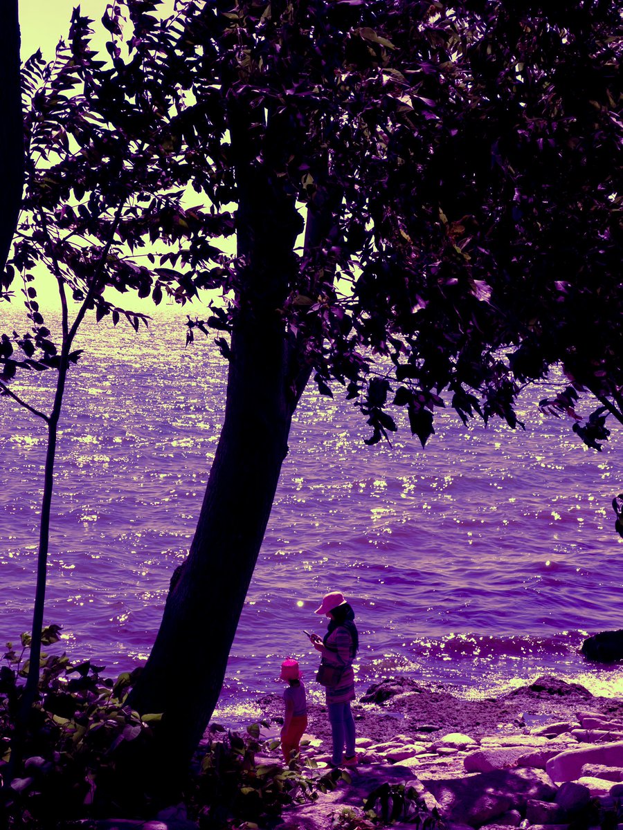 AnnBradfield's tweet photo. The Perfect Day #coolwind #breeze #lake #sunshine #watera #lakeview #toronto #ontario #naturelovers #landscapephotography #a https://t.co/Oc9YUKOXqK