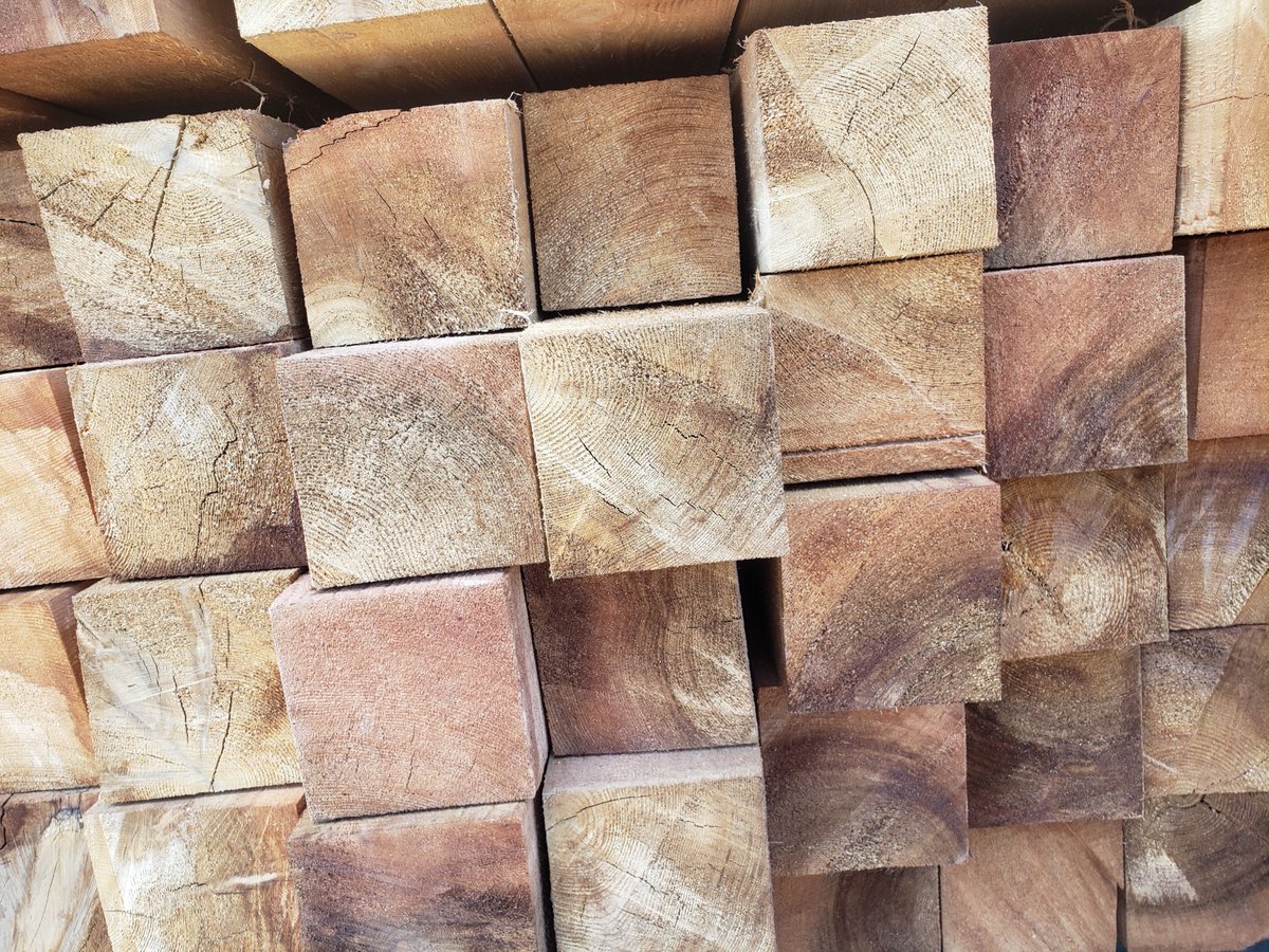 Caroline Fox tweet media