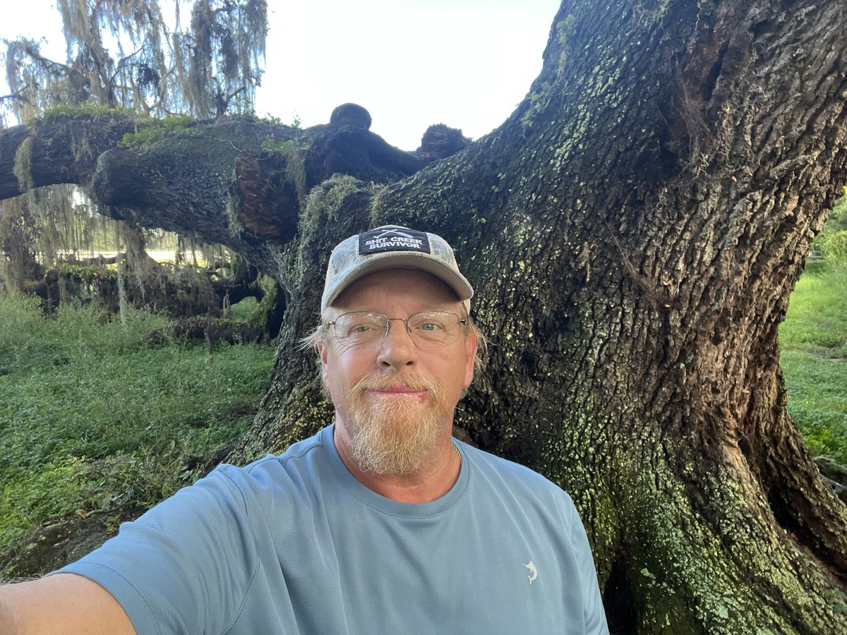 AsklarAdventure's tweet photo. Part of this 300+ year old oak tree broke off 3 days ago. It measured over thirty feet around, at 5 foot high. The remaining tree looks healthy and well rooted though. https://t.co/ivn15a55xL