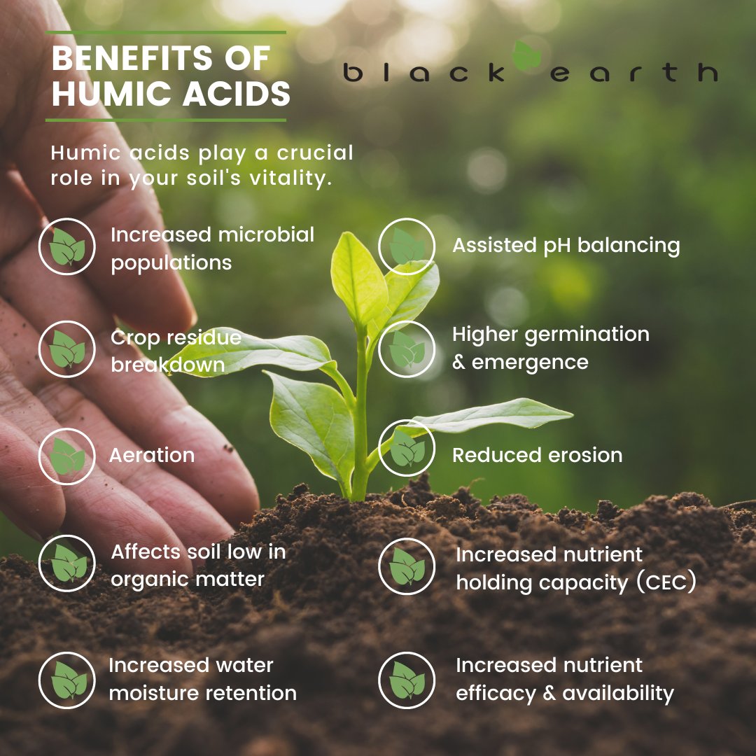 BEHumic's tweet photo. What are Humic Acids and why are they good for soil health? Visit https://t.co/OgMLfILtdp #humicacid #savesoil #sustainablefarming #organicfarming #agriculture #soilhealth #biostimulants #soilremediation #humalite #fulvics #agtech #microbiology #potassiumhumates #fertilizers https://t.co/o1WHg2WCgL