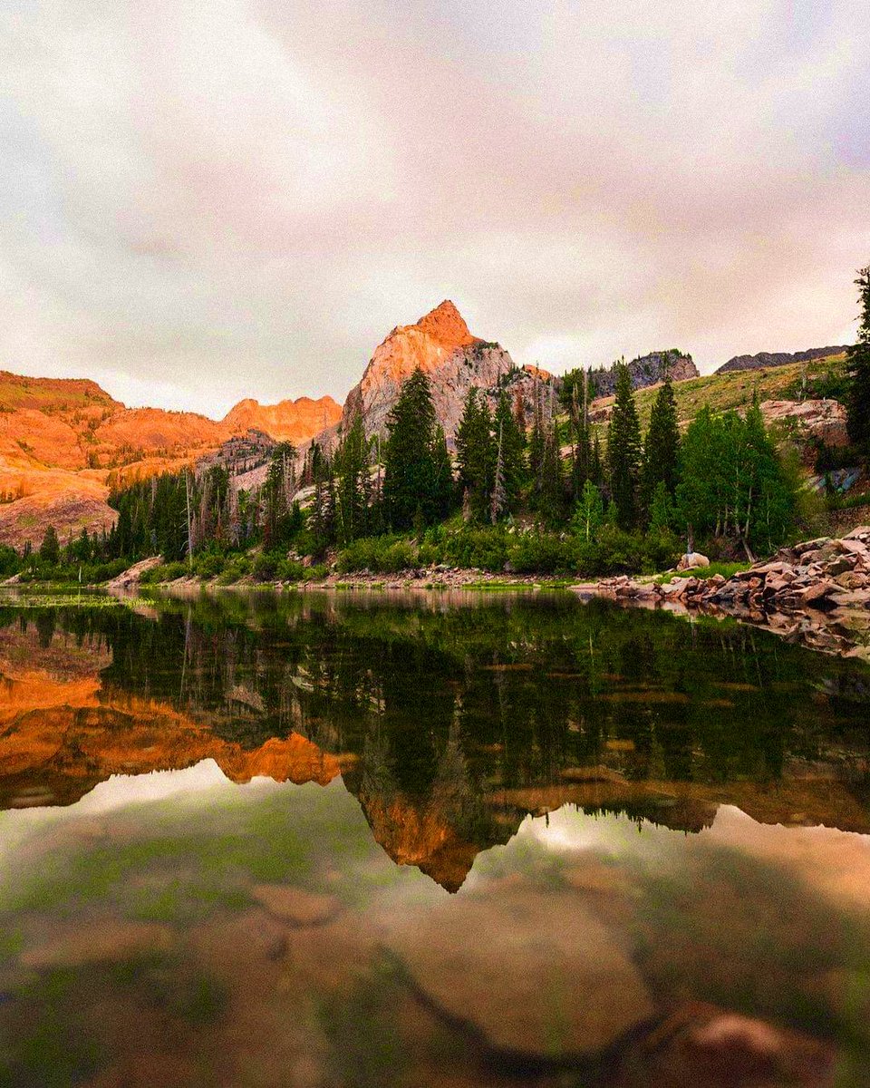 LoreleiEllen's tweet photo. Let’s go for a hike!

🥾🏔

#GoForAHike https://t.co/lCfnSCb7KK