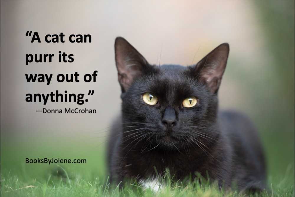 Jolene Roehlkepartain tweet media