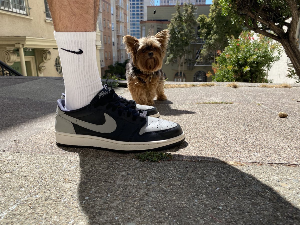 FriscoJonny's tweet photo. Keeping it OG. What did you wear today? #oglow #yoursneakersaredope #jordan1low #lowlife #yorkie #puppy #aj1low #citylife #cablecar #sf #SanFrancisco https://t.co/nrKXIaRWlY
