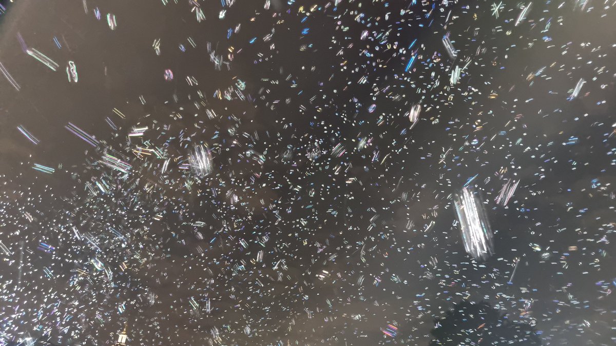 simplyrasha's tweet photo. The most beautiful installation to kick-off @GDIFestival 2022!

SPARK ✨️ by @SRoosegaarde recreating the magic of fireflies with biodegradable bubbles! https://t.co/mbv5RSgZES