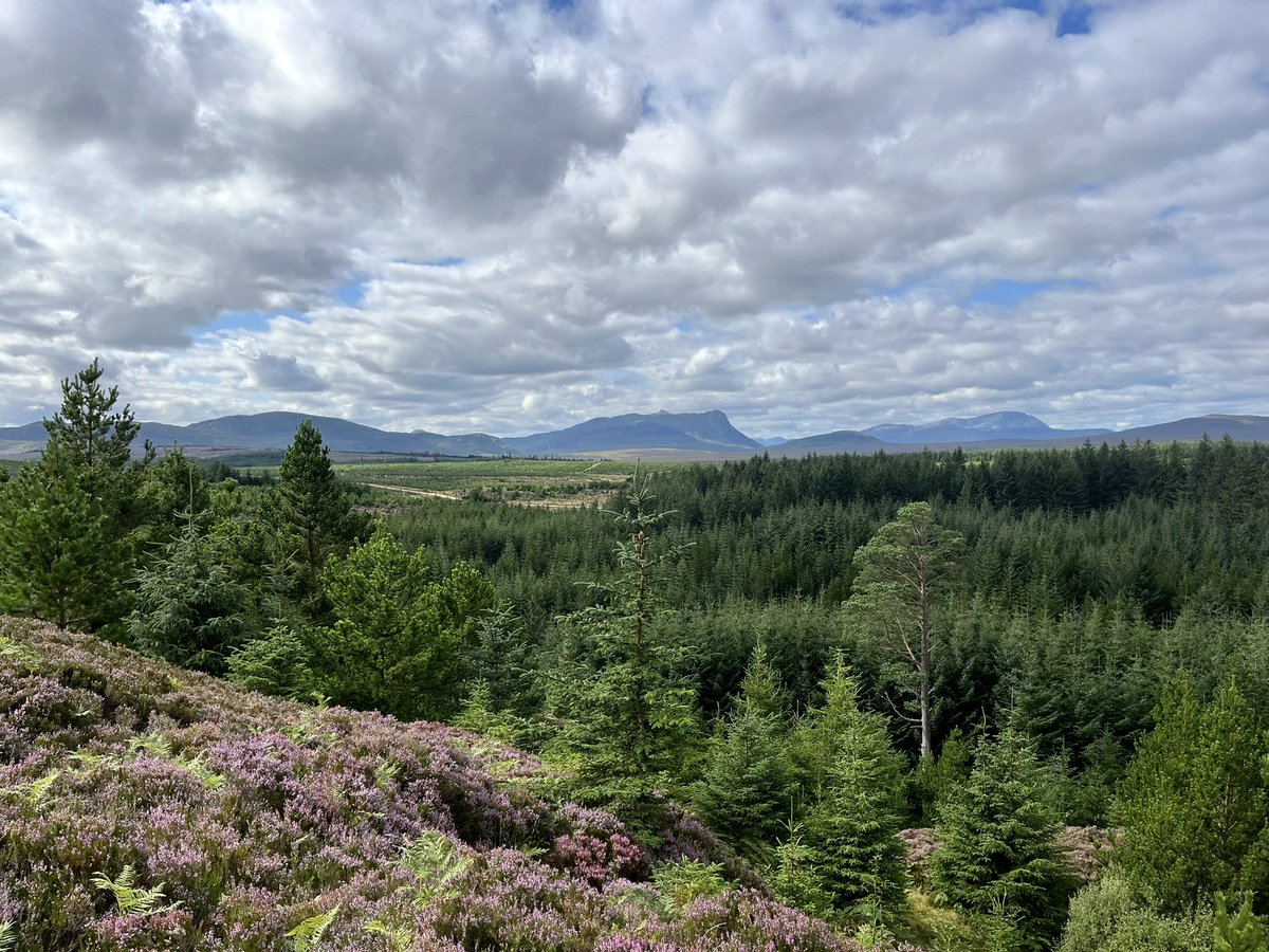 DavidsonMagnus's tweet photo. Loyal and Hope from Borgie today. Scale and concentration of ownership in this part of the Highlands is staggering. Apart from the forestry, which is owned by the state, the rest of the view is owned by one aristocratic family and one absentee green laird. https://t.co/3y0706HSrh