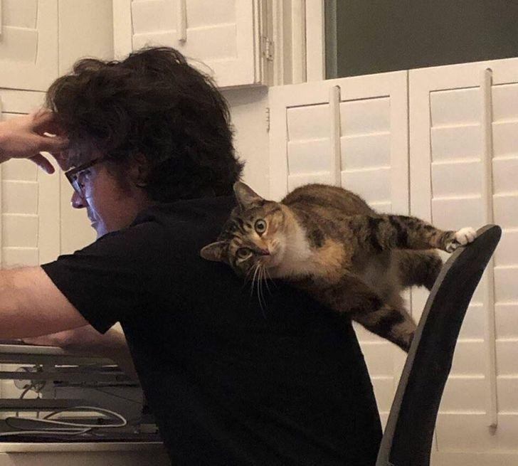 WholesomeMeme's tweet photo. https://t.co/AFfimWBxZ9