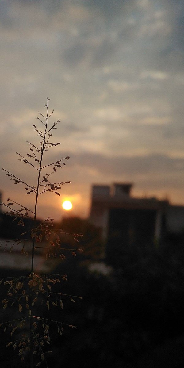 Seni seviyorum ama isterdim ki bu senin karnını doyursun,yaranı onarsın, üstünü örtsün.Hiç olmadı bi cam pencere açsın, içine su serpilsin,sırtın bi nebze okşansın ve sen uyurken etrafa göz kulak olsun.Oysa hiçbir şey yapmıyor.Yani seviyorum ve bunun bu kadar oluşu beni kırıyor.