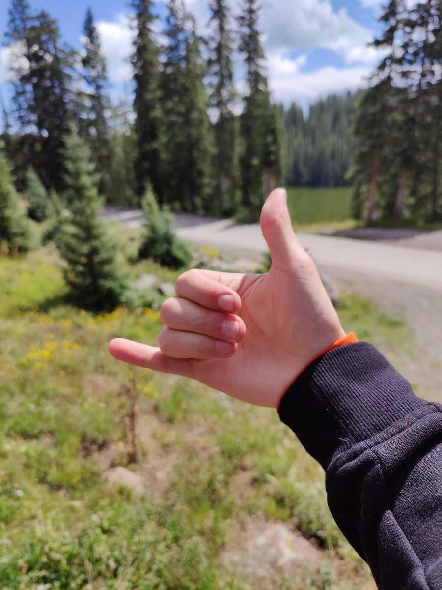 🤙<a href="/RadCatsNFT/">RadCats™️</a>