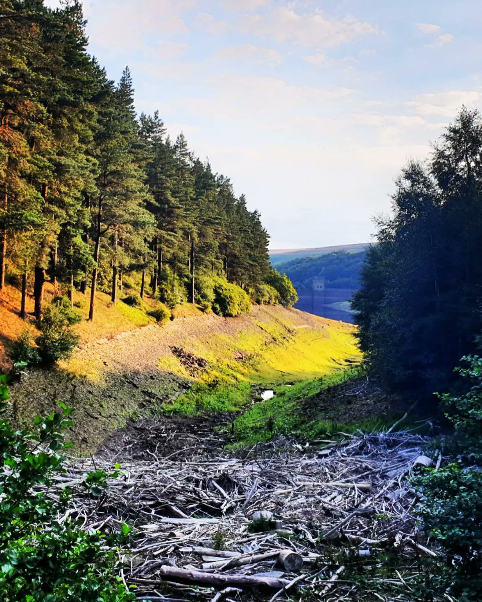 T4toria's tweet photo. Slower than usual but I made it! Just under 11 miles on one of our favourite walks around the Derwent and Howden Reservoirs #Derbyshire #trimalleor #anklebreak #recovery https://t.co/ydFAZgpBae